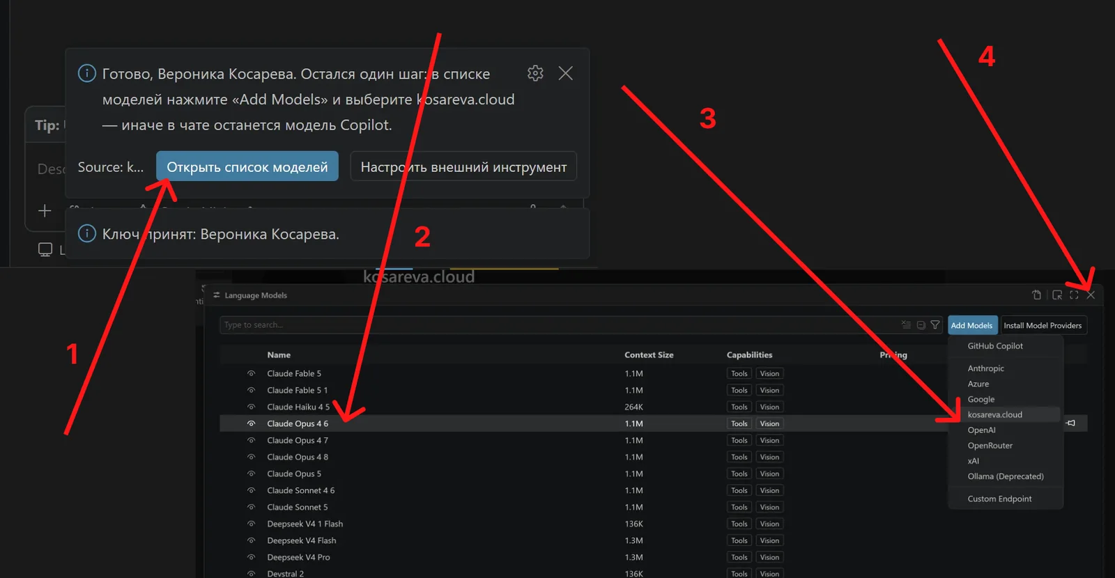 Окно Manage Language Models с кнопкой Add Models и провайдером kosareva.cloud