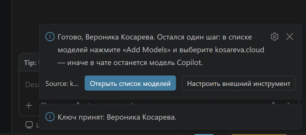 Уведомление VS Code: ключ принят, остался шаг Add Models